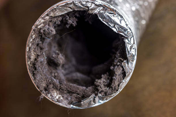 Best Ventilation Cleaning Services  in Buckeystown, MD