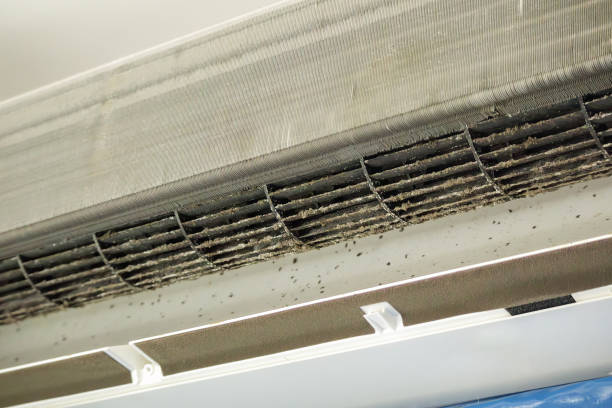 Professional Airduct Cleaning in Buckeystown, MD